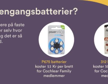 Abonnement engangsbatterier Abonnement engangsbatterier